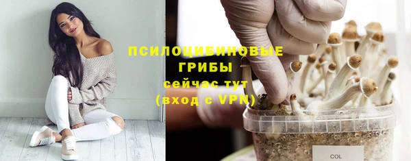 прущие крисы Алексин
