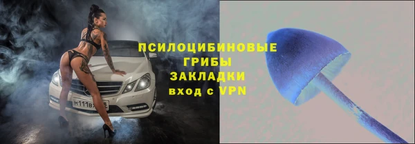 дурь Алзамай