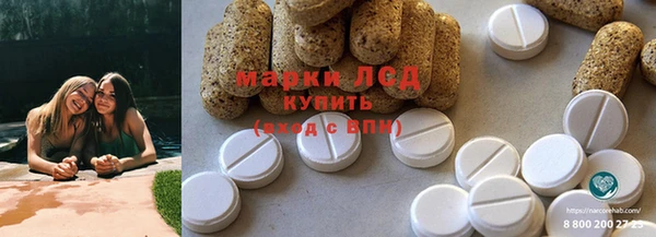 дурь Краснослободск