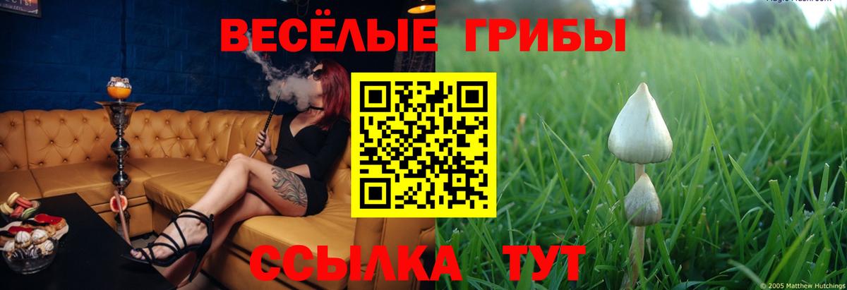 Серпухов  Псилоцибиновые грибы MAGIC MUSHROOMS  Вход с VPN 